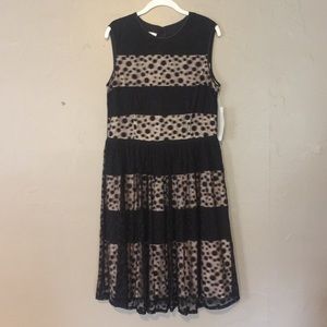 NWT LBD - Gorgeous Little Black Dress!